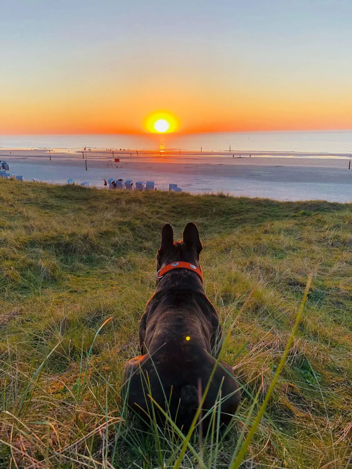 Wohnung Inselschatz Sonnenuntergang am Strand von Vermietservice Ilyes